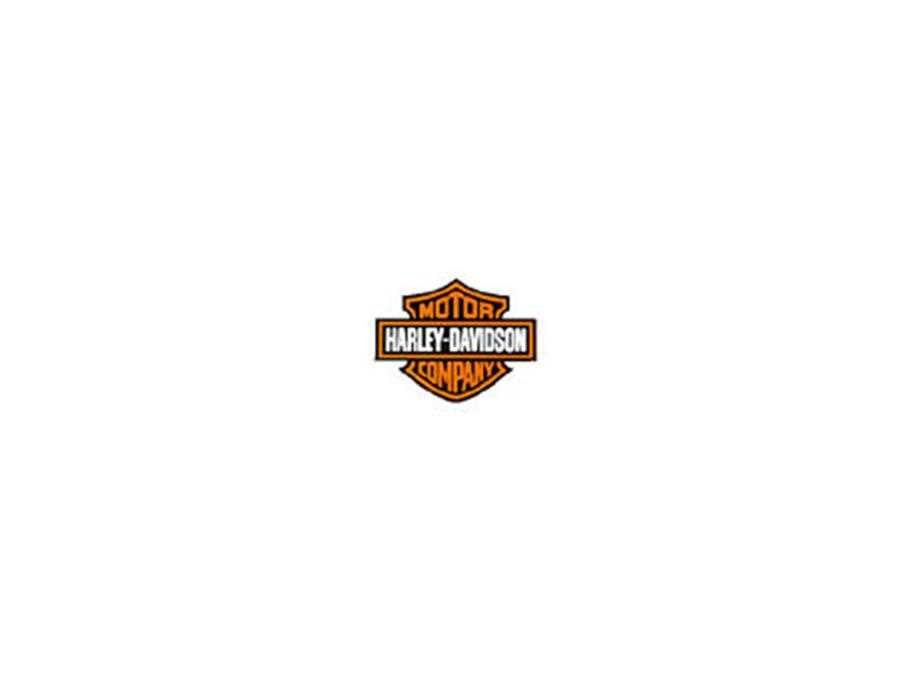 2019 Harley Davidson FXBB from Fair Oaks Auto Sales